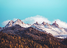 易游体育-世体：马竞球迷团体对小蜘蛛欧冠点球争议仍在持续申诉